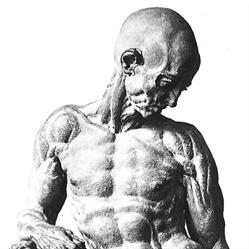 Persis Jilla Practice Of Osteopathic Health