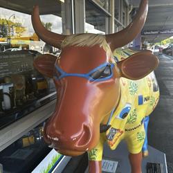 Paeroa Farm Services Ltd