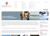 Perception Planning - resource management planners