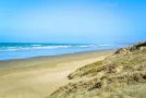 90-mile-beach-PKF-Far-North-Kaitaia-Office-2-Redan-Road-Kaitaia-0410-09408 9366.jpg