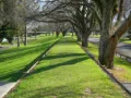 Manawatu-PKF-rutherfords-336-broadway-avenue-palmerston-north-4414-063507900