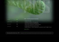 Planning Network Services Ltd's website