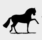 Warrens Equine Limited