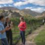 Daily Wine Tours from Queenstown