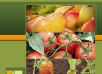 Roots Shoots & Fruits Ltd