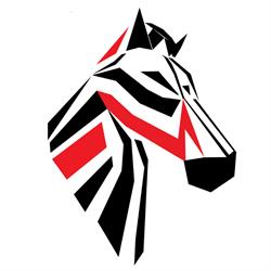 Repro Graphics Ltd