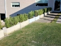 Concrete trough planters