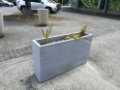 Concrete planters