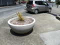 Half Sphere planters
