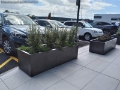 Barrier concrete planters