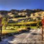 12 acres of picturesque gardens and vineyardsr