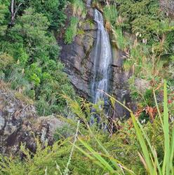 Te Aroha Visitor Information Centre