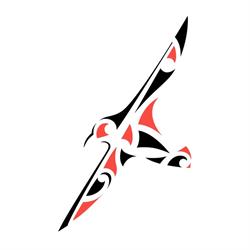 Tauranga Moana City Clinic - Te Manu Toroa