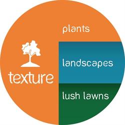 Texture Plants Ltd