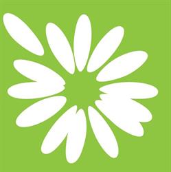Acupuncture and Holisic Health - The Herb Centre