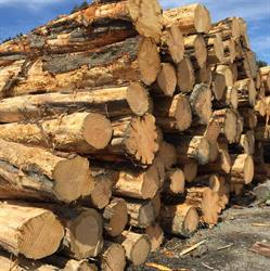 Timber Direct Otago