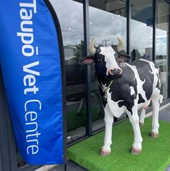 Taupo Veterinary Centre