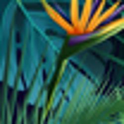 Touch of the Tropics Garden Centre & Nursery