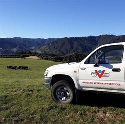 Wanganui Veterinary Services Ltd