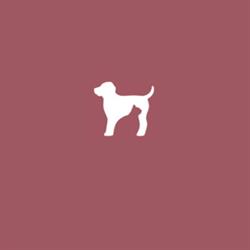 Sommerville Veterinary Centre