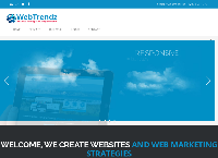 WebTrendz eConsultancy Ltd's website