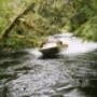 Roffy in the Neck/Wairaurahiri River