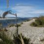 Wairaurahiri River outlet/South Coast