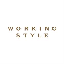 Working Style