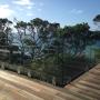 Frameless Glass Balustrade