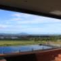 Frameless Glass Pool Fencing