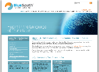 Blue South New Zealand's website