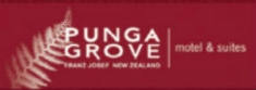 Punga Grove - Franz Josef Motel