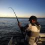 Fishing in Westport