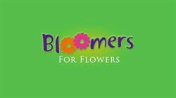 Bloomers Flower Wholesalers