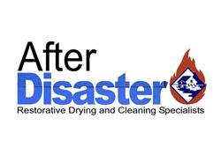 After Disaster Ltd