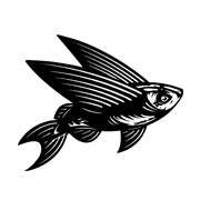 Flying Fish NZ Ltd