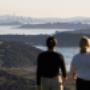 Hauraki Gulf tours and walks