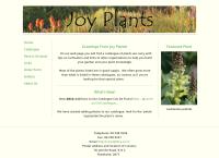 Joy Plants