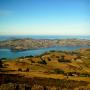 Property Valuers Dunedin - Jason Dowden Valuer
