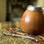 yerba mate leaves