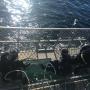 Uploaded by visitor on 25/07/2017 - Divers waiting ... on Shark Watch
