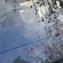 Windscreen AFTER Repair