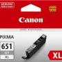 Canon Ink Cartridges