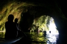 Glow worm caves Pure Cruise