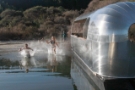 Lake fun Pure Cruise New Zealand