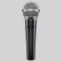 Singing Lessons