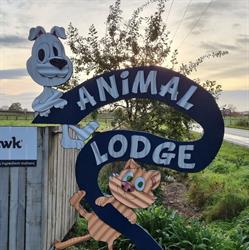 Animal Lodge Hamilton - Boarding Kennels and Cattery