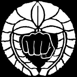 Fushin Ryu Karate Dojo Browns Bay