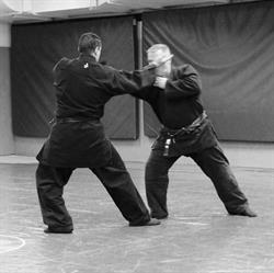 Bujinkan Jissen Dojo