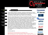 Capital Valves Ltd